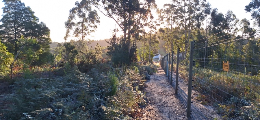 0 Bedroom Property for Sale in Knysna Rural Western Cape